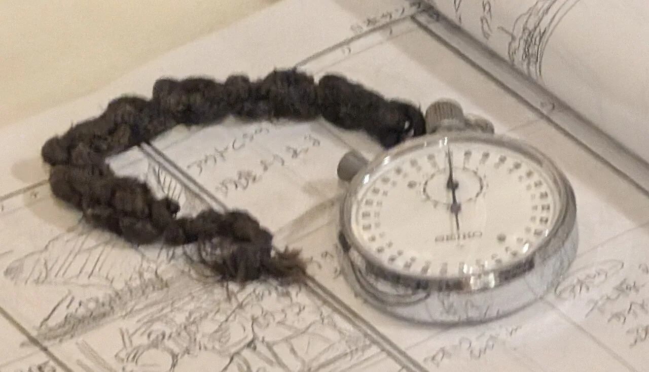 A Seiko stopwatch resting on hand-drawn animation storyboards